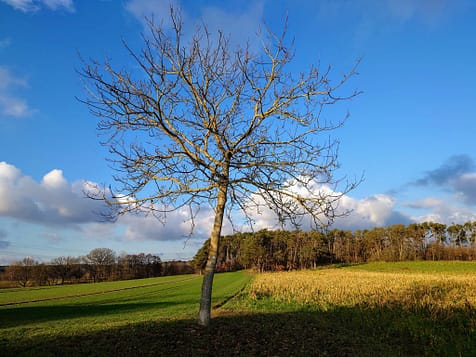 Vom Loslassen und Neuanfangen Vom Loslassen und Neuanfangen